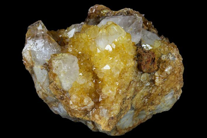 Sunshine Cactus Quartz Crystal Cluster - South Africa #115159